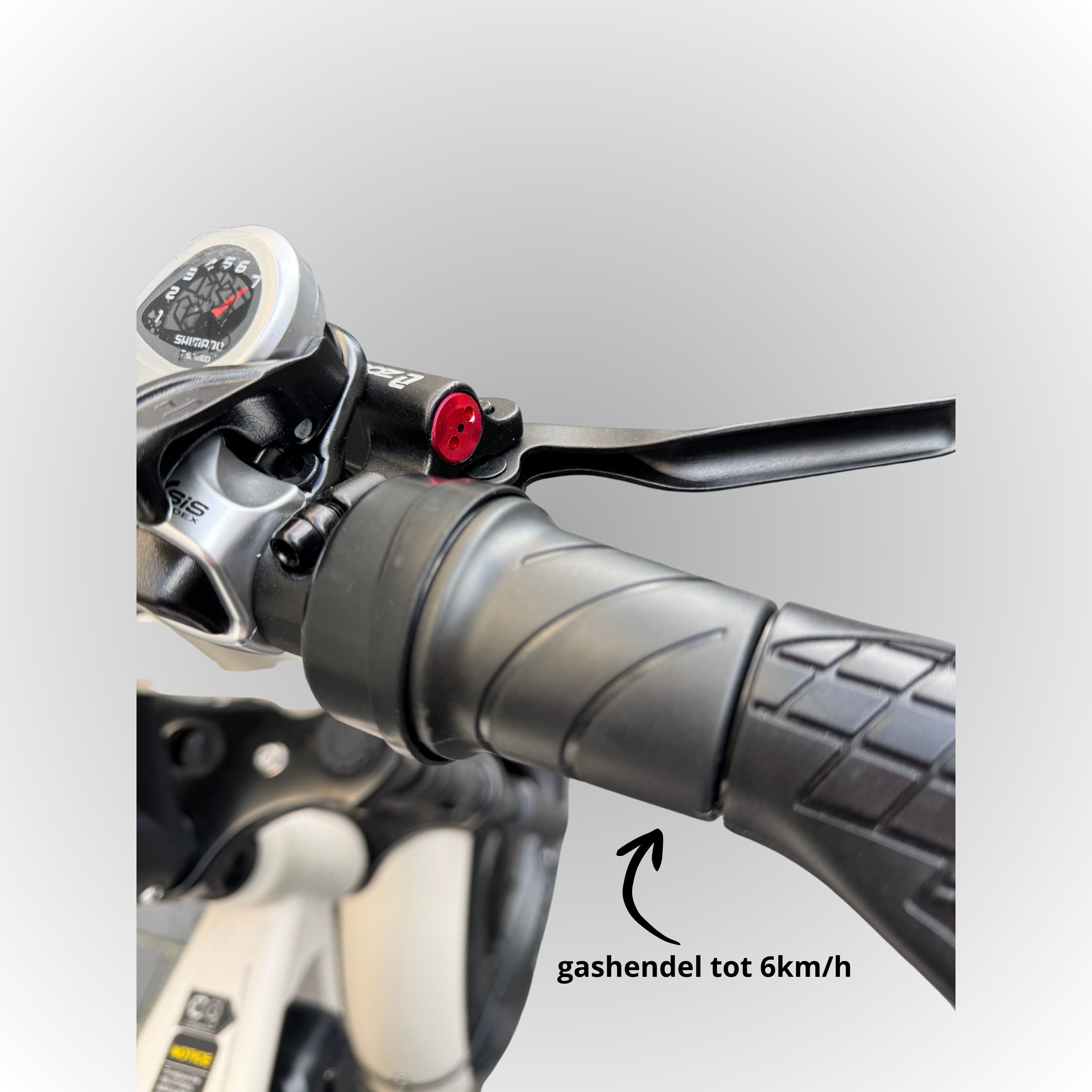 Elektrische fatbike 250W Dowe V9 voor stedelijk gebruik